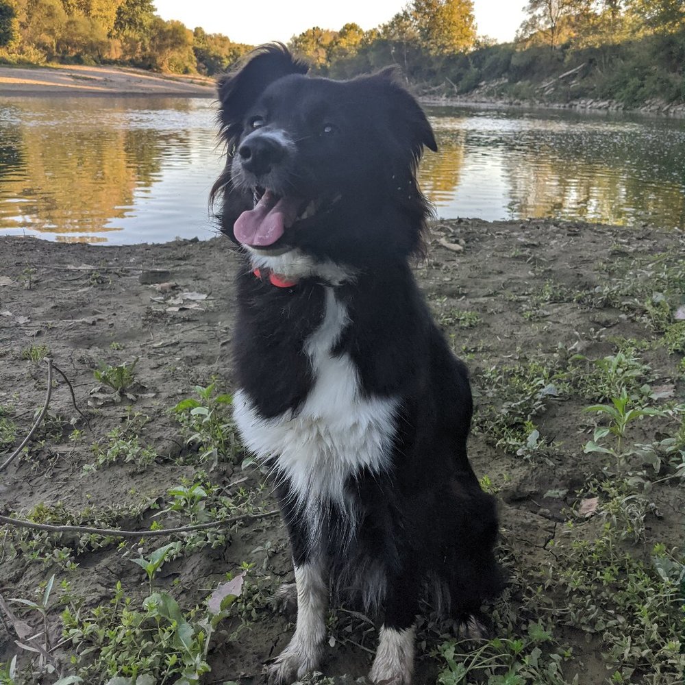 Meet your Posher, Jacob